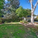 Sunny backyard with green grass, shrubs, tree, and plants.